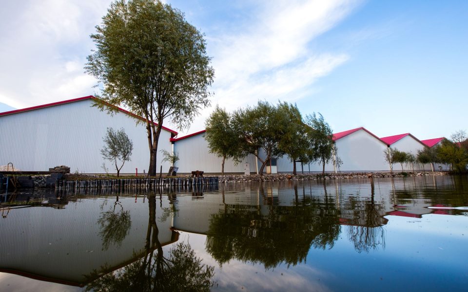 környezettudatosság, fenntarthatóság